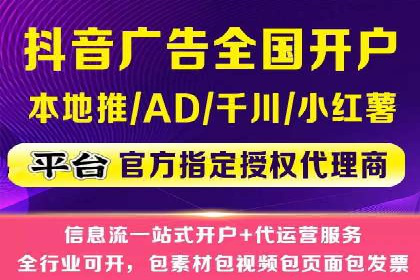 百度搜索推广实战经验：经典案例启示录